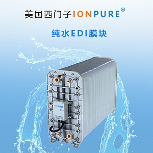 美國(guó)西門子IONPURE純水EDI模塊